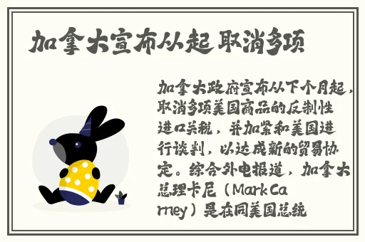 久久久国产精品Ⅴa麻豆